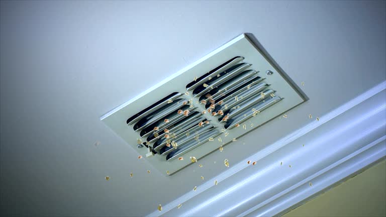 Best HVAC System Cleaning  in Home Gardens, CA