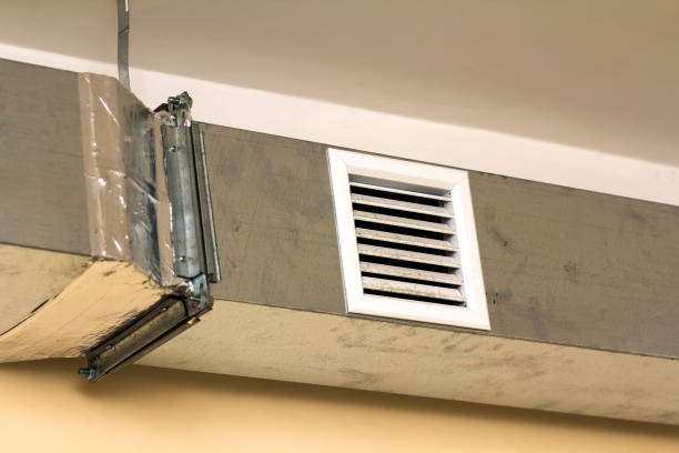 Best Affordable Duct Cleaning Services  in Home Gardens, CA